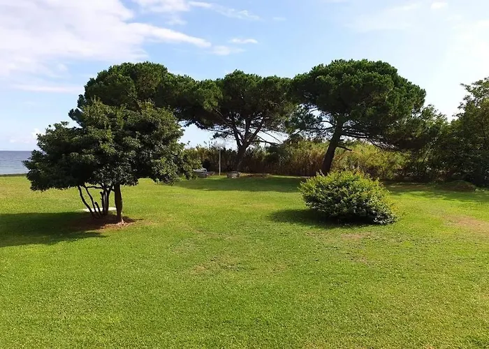 Bord De - Piscine - * San-Nicolao